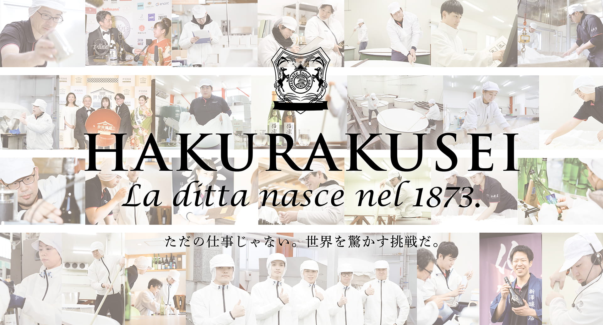 新澤醸造店 伯楽星 採用情報 ただの仕事じゃない。世界を驚かす挑戦だ。