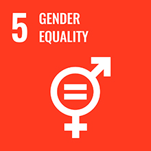 5 gender equality